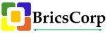 brics logo 1